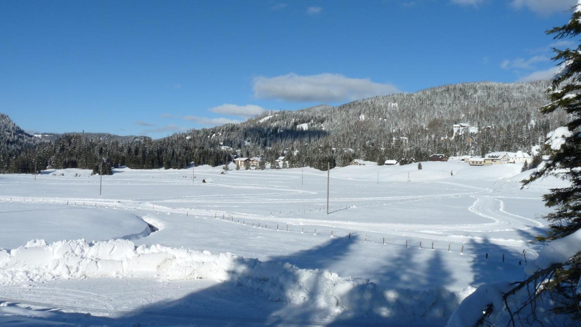 Ferienhaus Schaefer - Apartments - Wintersports - Family Holiday - Holiday With Your Dog - Rural & Scenic Flattnitz Eksteriør billede