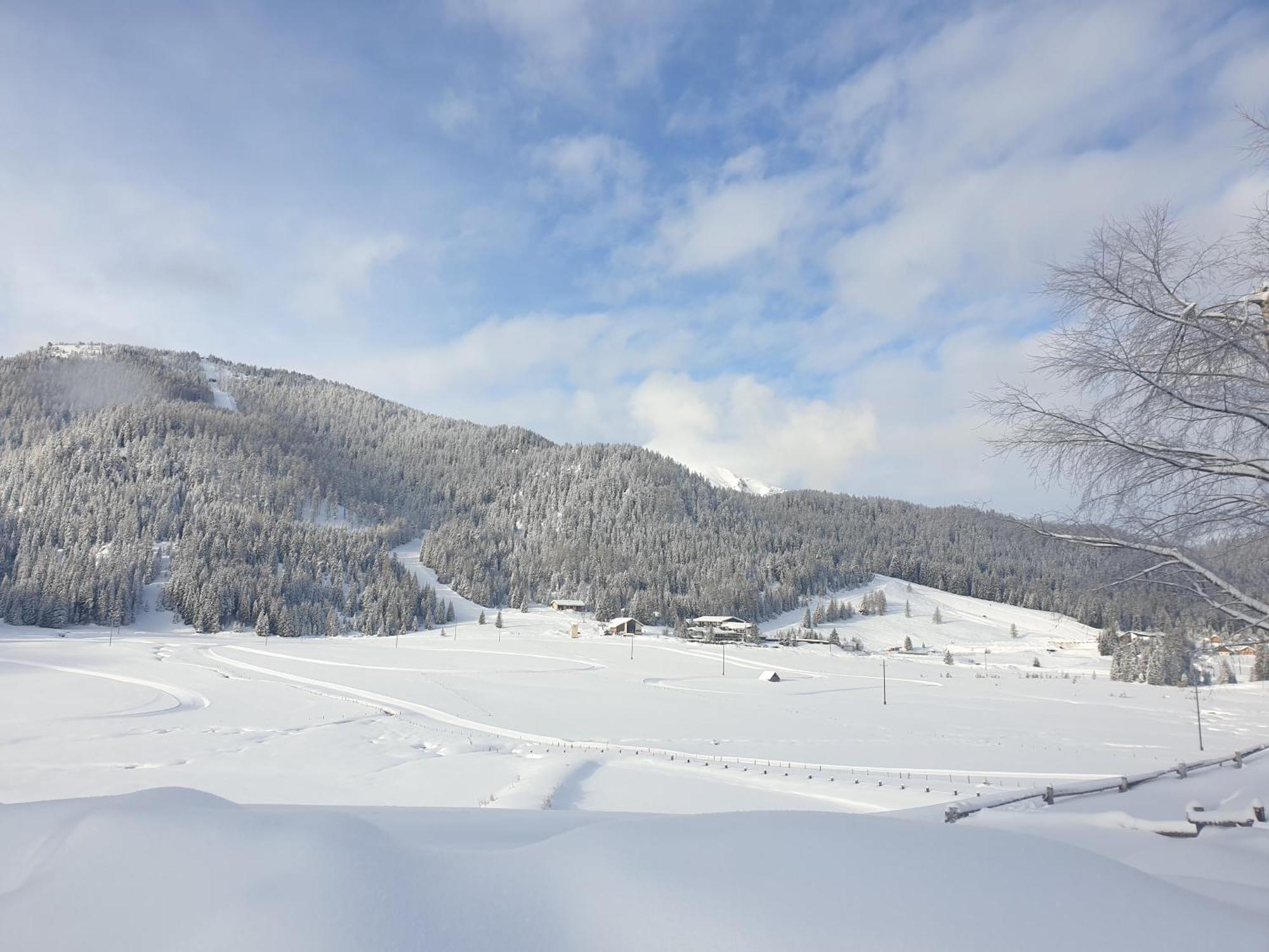 Ferienhaus Schaefer - Apartments - Wintersports - Family Holiday - Holiday With Your Dog - Rural & Scenic Flattnitz Eksteriør billede